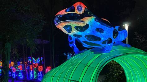 The festival will feature more than 30 illuminated lantern displays throughout the Zoo. . Asian lantern festival chattanooga